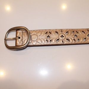 Fossil small belt